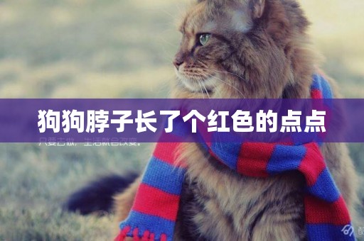 狗狗脖子長了個紅色的點點