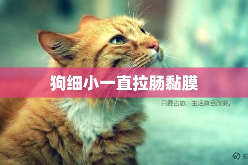 狗細小一直拉腸黏膜