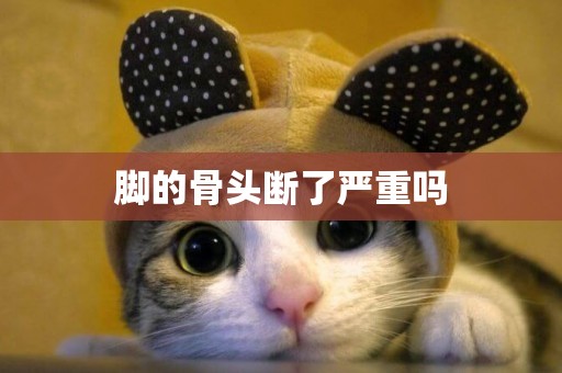 腳的骨頭斷了嚴重嗎