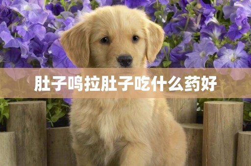 肚子鳴拉肚子吃什么藥好