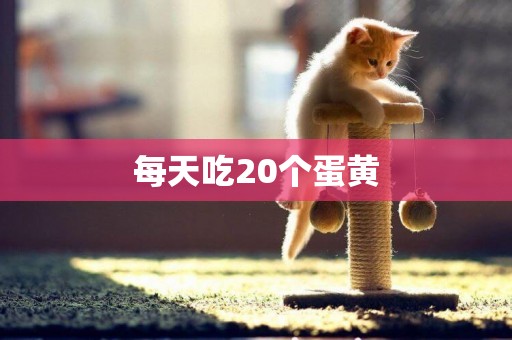 每天吃20個蛋黃