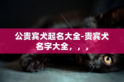 公貴賓犬起名大全-貴賓犬名字大全，，，