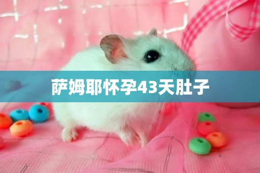 薩姆耶懷孕43天肚子
