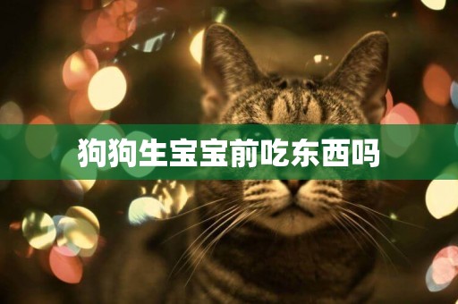 狗狗生寶寶前吃東西嗎
