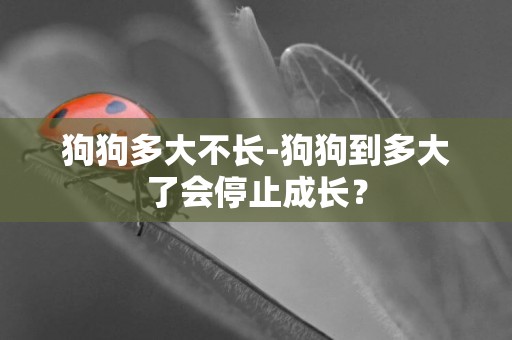 狗狗多大不長-狗狗到多大了會停止成長？