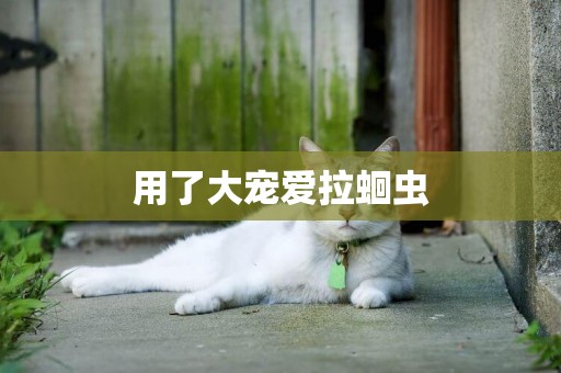 用了大寵愛拉蛔蟲