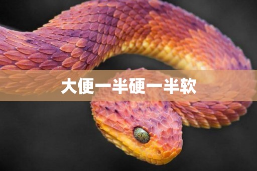 大便一半硬一半軟