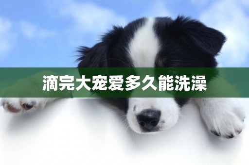 滴完大寵愛多久能洗澡