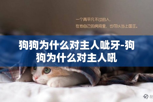 狗狗為什么對主人呲牙-狗狗為什么對主人吼