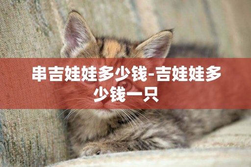 串吉娃娃多少錢-吉娃娃多少錢一只