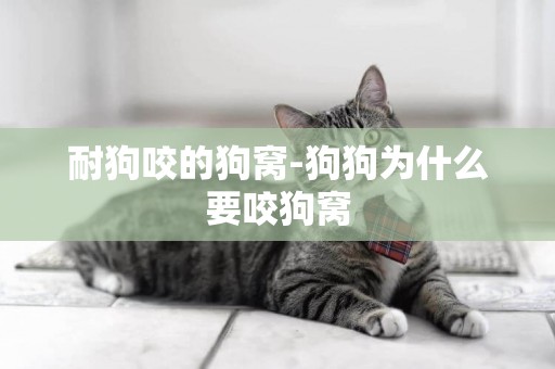 耐狗咬的狗窩-狗狗為什么要咬狗窩