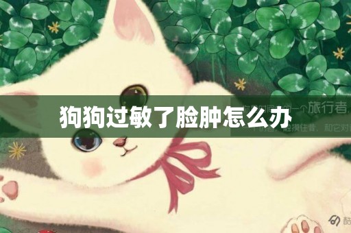 狗狗過敏了臉腫怎么辦