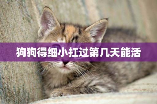 狗狗得細小扛過第幾天能活