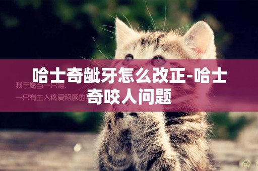 哈士奇齜牙怎么改正-哈士奇咬人問題