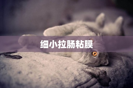 細小拉腸粘膜