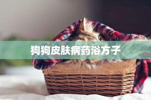 狗狗皮膚病藥浴方子