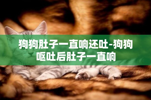 狗狗肚子一直響還吐-狗狗嘔吐后肚子一直響