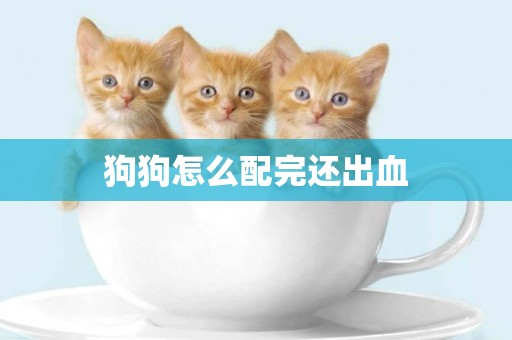 狗狗怎么配完還出血