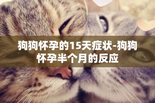 狗狗懷孕的15天癥狀-狗狗懷孕半個月的反應