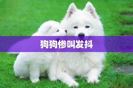 狗狗慘叫發抖