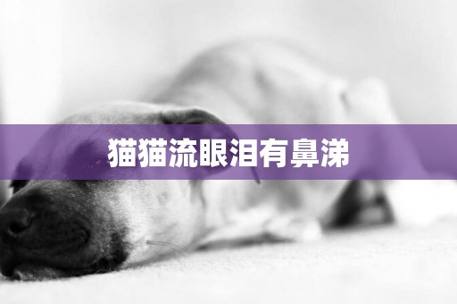 貓貓流眼淚有鼻涕