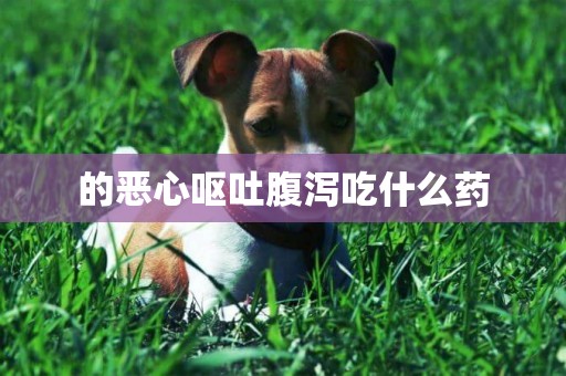的惡心嘔吐腹瀉吃什么藥