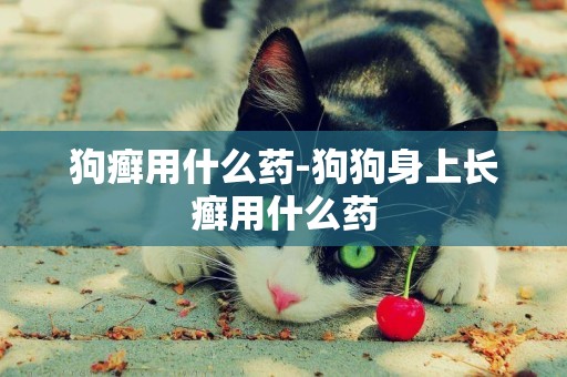 狗癬用什么藥-狗狗身上長癬用什么藥
