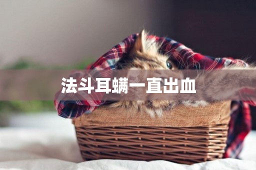 法斗耳螨一直出血