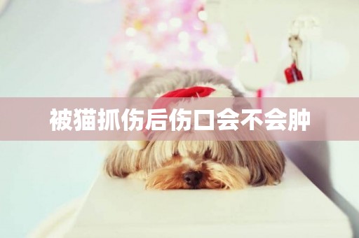 被貓抓傷后傷口會不會腫