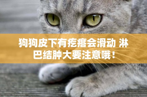 狗狗皮下有疙瘩會滑動 淋巴結腫大要注意哦！