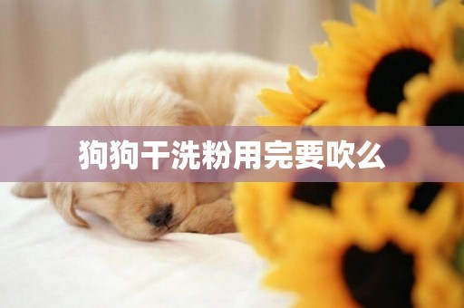 狗狗干洗粉用完要吹么