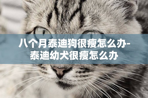 八個月泰迪狗很瘦怎么辦-泰迪幼犬很瘦怎么辦