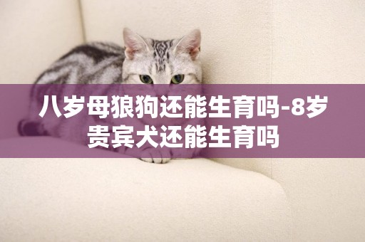 八歲母狼狗還能生育嗎-8歲貴賓犬還能生育嗎