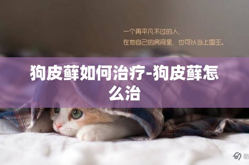 狗皮蘚如何治療-狗皮蘚怎么治