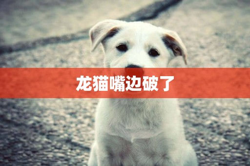 龍貓嘴邊破了