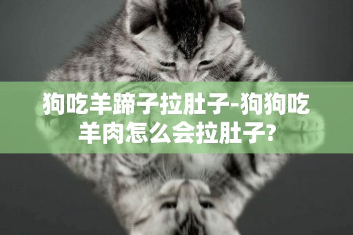 狗吃羊蹄子拉肚子-狗狗吃羊肉怎么會拉肚子?