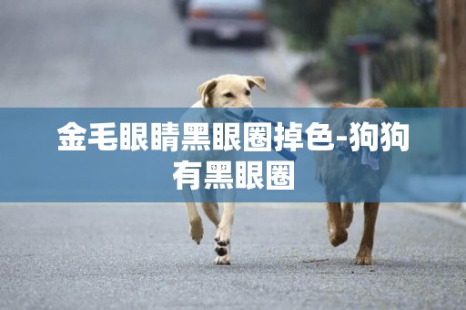 金毛眼睛黑眼圈掉色-狗狗有黑眼圈