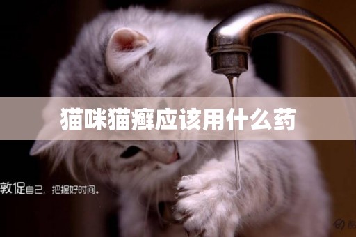貓咪貓癬應該用什么藥