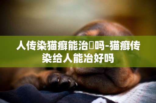 人傳染貓癬能治瘉嗎-貓癬傳染給人能冶好嗎