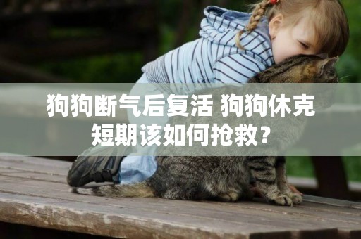 狗狗斷氣后復活 狗狗休克短期該如何搶救？