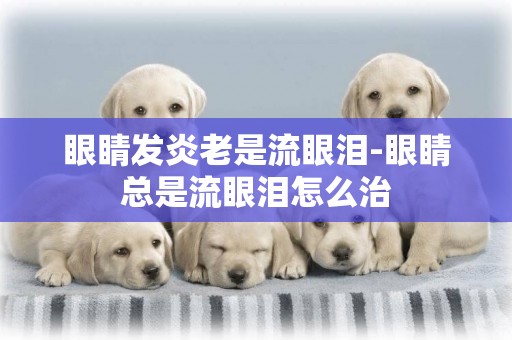 眼睛發炎老是流眼淚-眼睛總是流眼淚怎么治