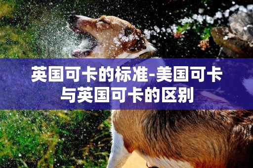 英國可卡的標準-美國可卡與英國可卡的區別