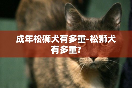 成年松獅犬有多重-松獅犬有多重?