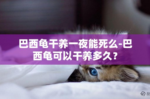 巴西龜干養一夜能死么-巴西龜可以干養多久？