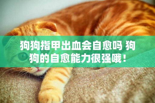 狗狗指甲出血會自愈嗎 狗狗的自愈能力很強哦！
