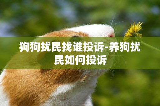 狗狗擾民找誰投訴-養狗擾民如何投訴