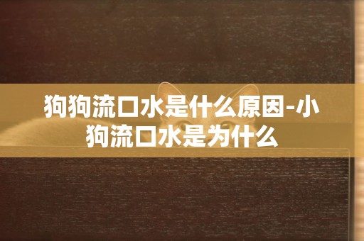 狗狗流口水是什么原因-小狗流口水是為什么