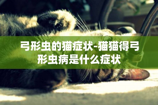 弓形蟲的貓癥狀-貓貓得弓形蟲病是什么癥狀