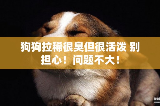 狗狗拉稀很臭但很活潑 別擔心！問題不大！