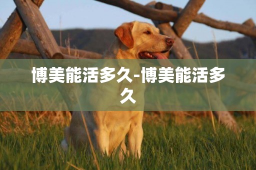 博美能活多久-博美能活多久
